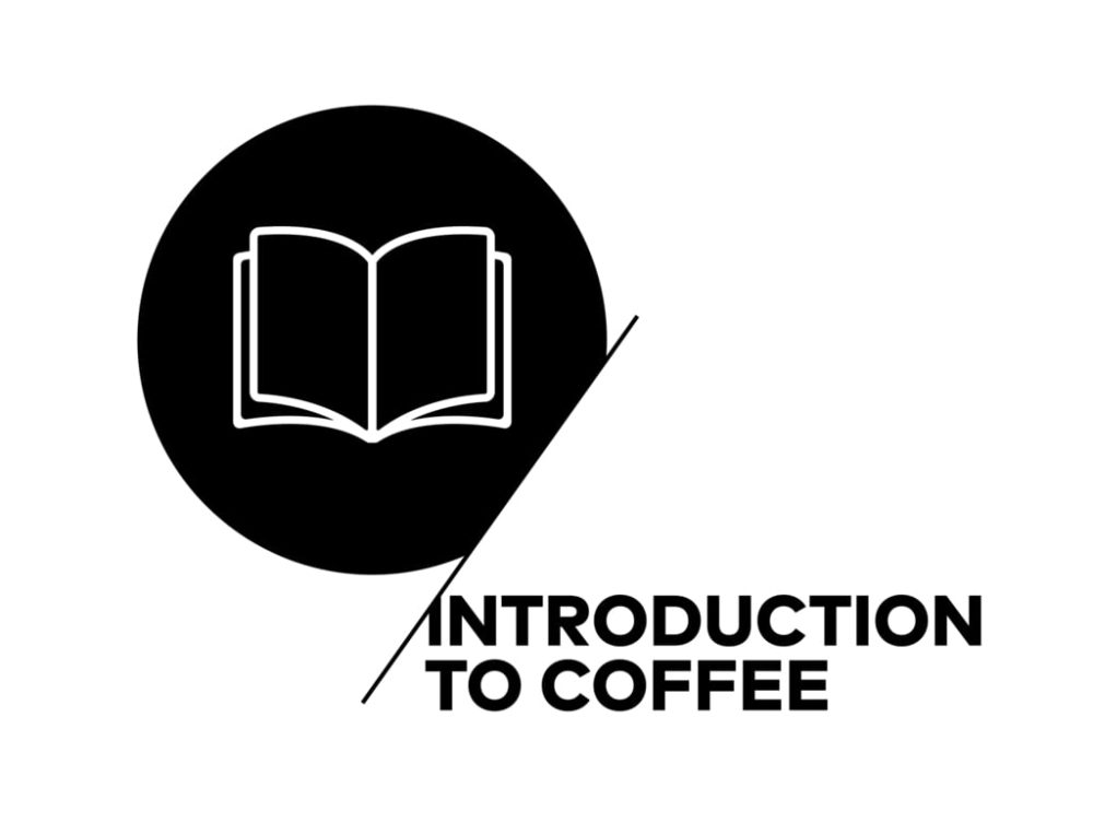 Sensory Skills - Foundation  | 8/21 | TEAM LEAD AND TEA CRAFTSMAN™ CERTIFICATION PROGRAMS