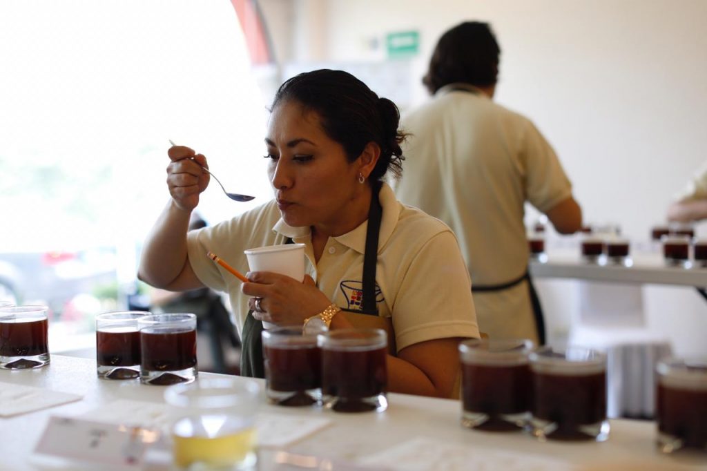 Five Microlots Score 90+ at Mexico Cup of Excellence Competition